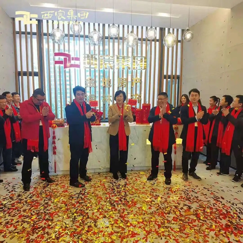 西宸集团品牌升级 构筑品质人居